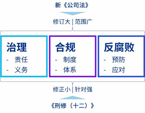 新公司法与刑修十二 企业风险管理的影响与启示